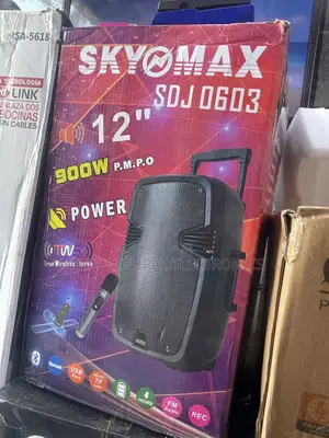 SKYMAX 12” Speaker