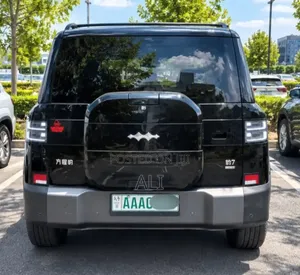 BYD Leopard 7 2025 Black