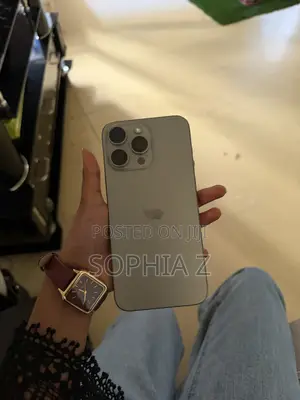 Apple iPhone 15 Pro Max 256 GB Gray