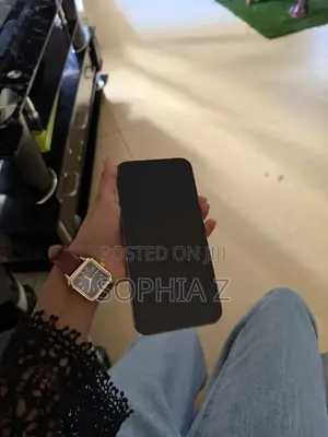 Apple iPhone 15 Pro Max 256 GB Gray
