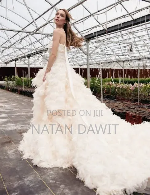 Title and Disruption Elegant Ballgown Wedding Dress