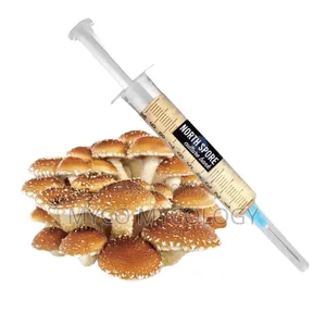Mag!c Mushroom Grow-Kit