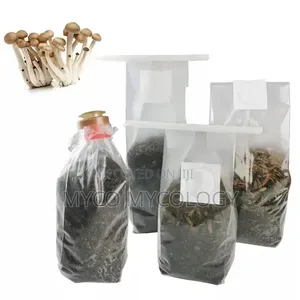 Mag!c Mushroom Grow-Kit