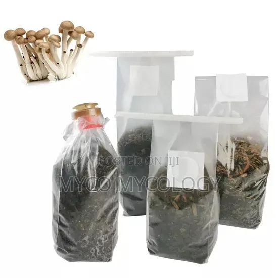 Mag!c Mushroom Grow-Kit
