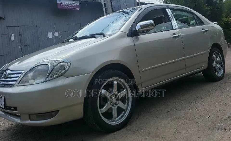 Toyota Corolla 2003 Gray