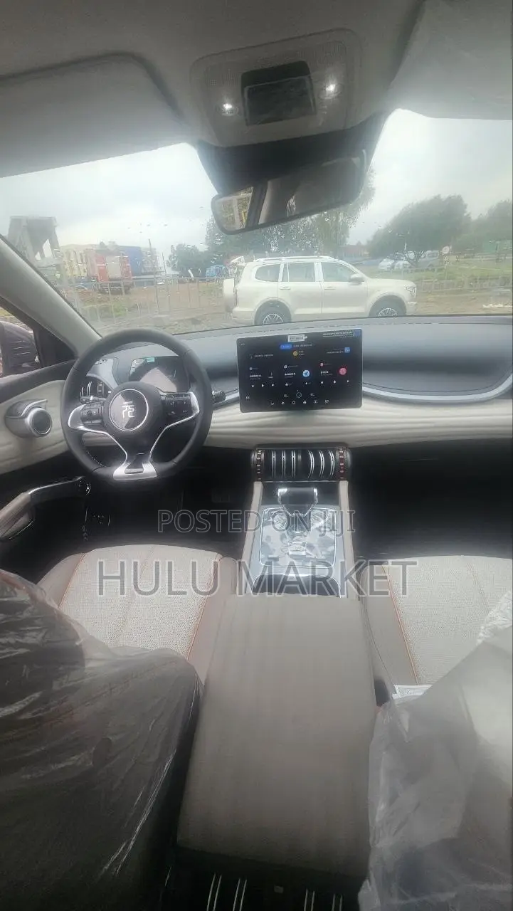 New BYD Yuan Plus 2025 Gray