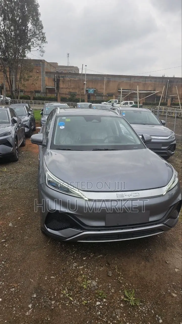 New BYD Yuan Plus 2025 Gray