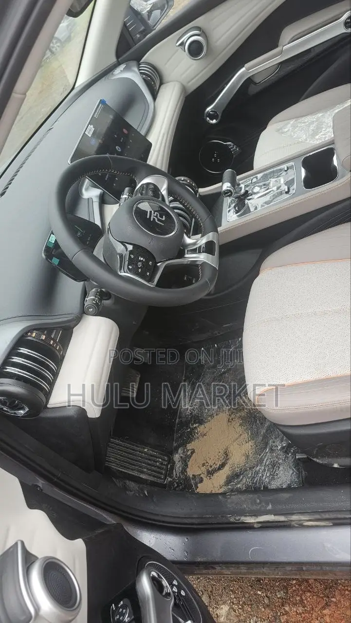 New BYD Yuan Plus 2025 Gray
