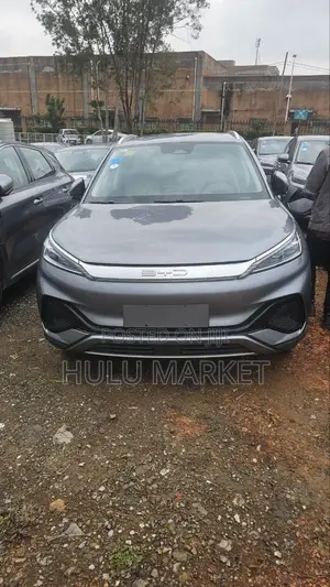 New BYD Yuan Plus 2025 Gray