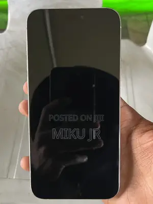Apple iPhone 15 Pro Max 256 GB Silver