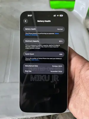 Apple iPhone 15 Pro Max 256 GB Silver