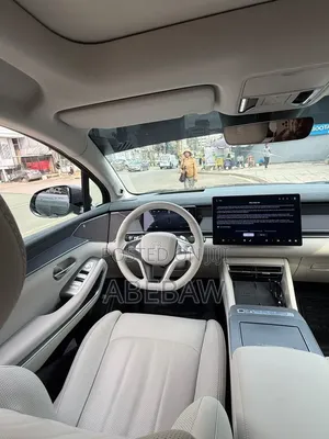 BYD Tang EV 2025 Gray