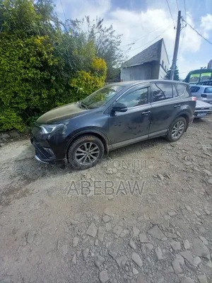 BYD Tang EV 2025 Gray