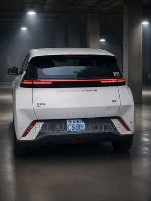 BYD Seagull 38 kWh FWD 2024 White