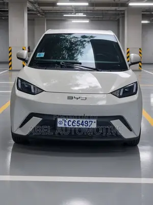 BYD Seagull 38 kWh FWD 2024 White
