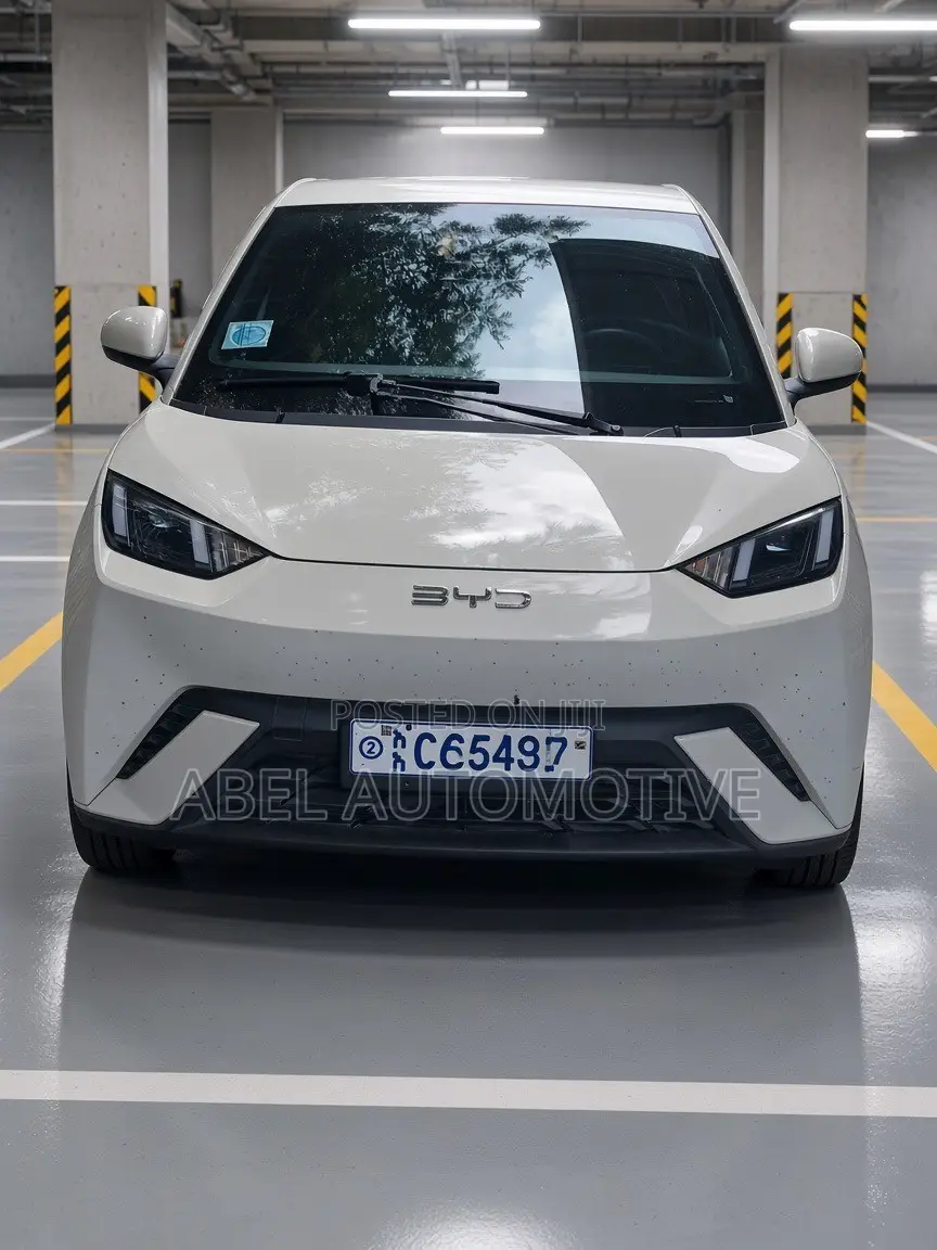 BYD Seagull 38 kWh FWD 2024 White
