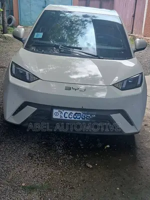 BYD Seagull 38 kWh FWD 2024 White