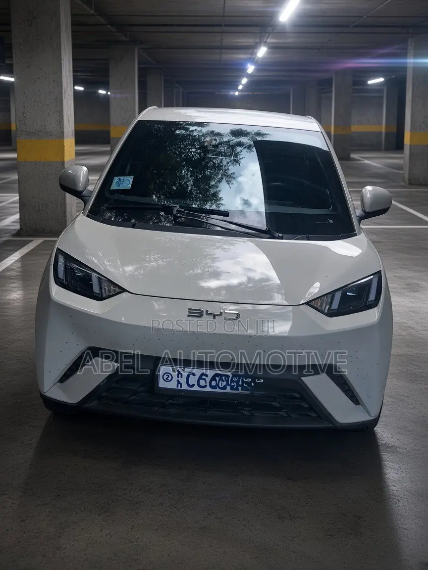 BYD Seagull 38 kWh FWD 2024 White