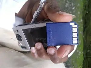 Sony Cyber-Shot DSC-W800 Digital Camera
