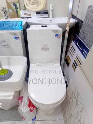 Golden Dragon Toilet Sink