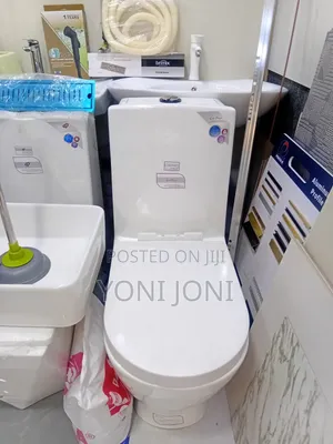 Golden Dragon Toilet Sink