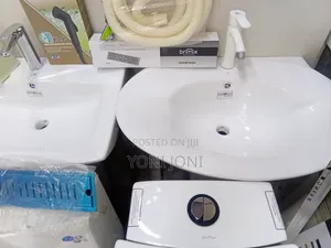 Golden Dragon Toilet Sink