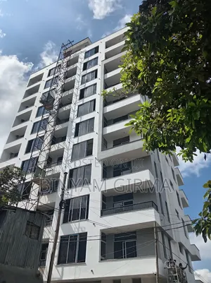 3bdrm Apartment in 22 Miklit Building, Bole for sale