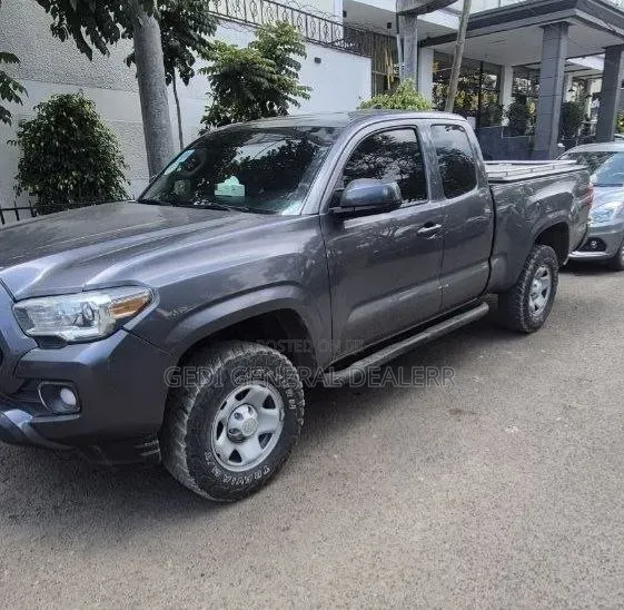 Toyota Tacoma 2019 Gray