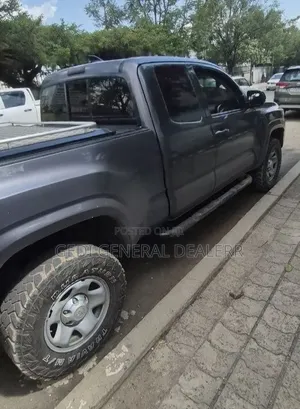 Toyota Tacoma 2019 Gray