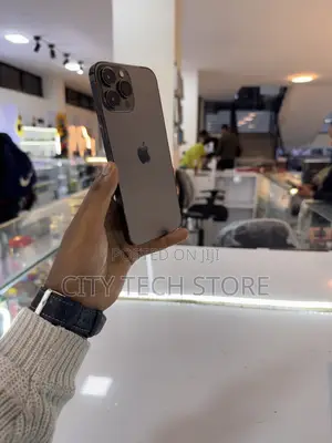 Apple iPhone 13 Pro Max 256 GB Graphite