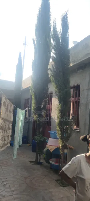 Furnished 7bdrm House in Bishoftu Dukem, East Shewa for sale