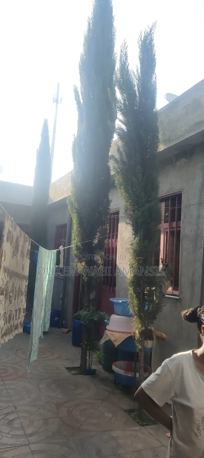 Furnished 7bdrm House in Bishoftu Dukem, East Shewa for sale
