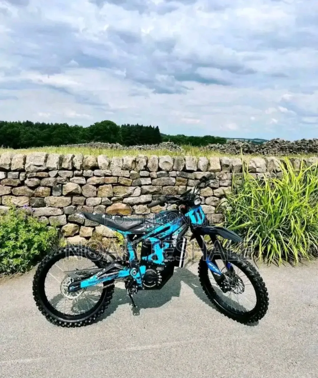 Ebike Surron