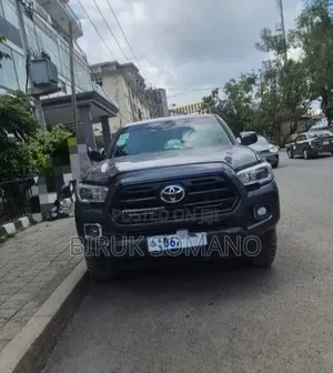 Toyota Tacoma 2019 Gray