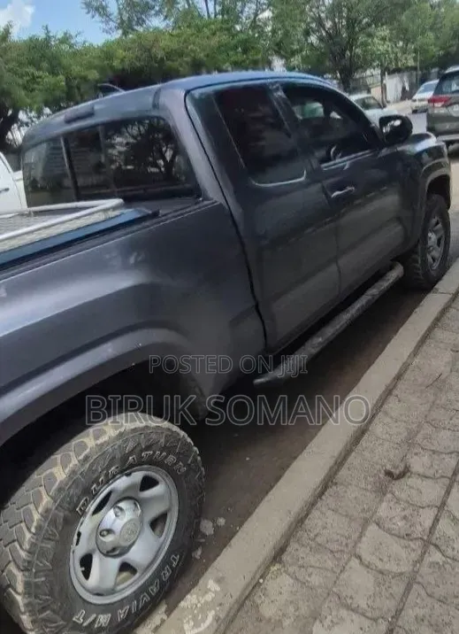 Toyota Tacoma 2019 Gray