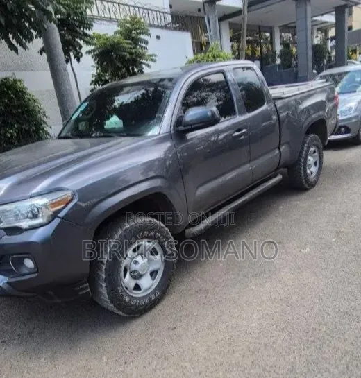 Toyota Tacoma 2019 Gray