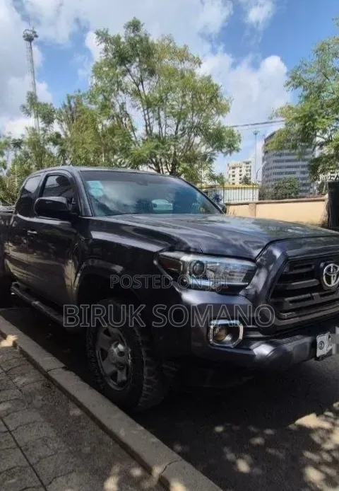 Toyota Tacoma 2019 Gray