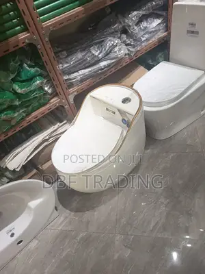 Toilet Seat (Basin) With Full Accessories