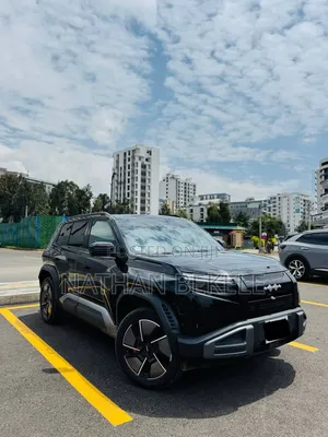 BYD Leopard 3 2025 Black