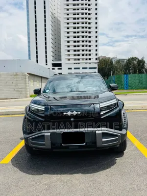 BYD Leopard 3 2025 Black