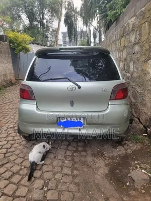 Toyota Vitz 2001 Silver