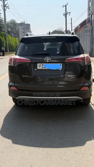 Toyota RAV4 2017 Brown