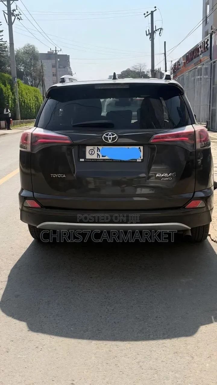 Toyota RAV4 2017 Brown