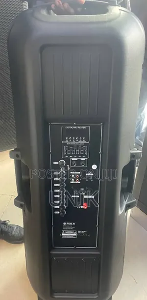 MAX Audio System