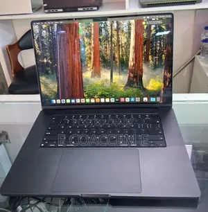New Laptop Apple MacBook 48GB SSD 2T