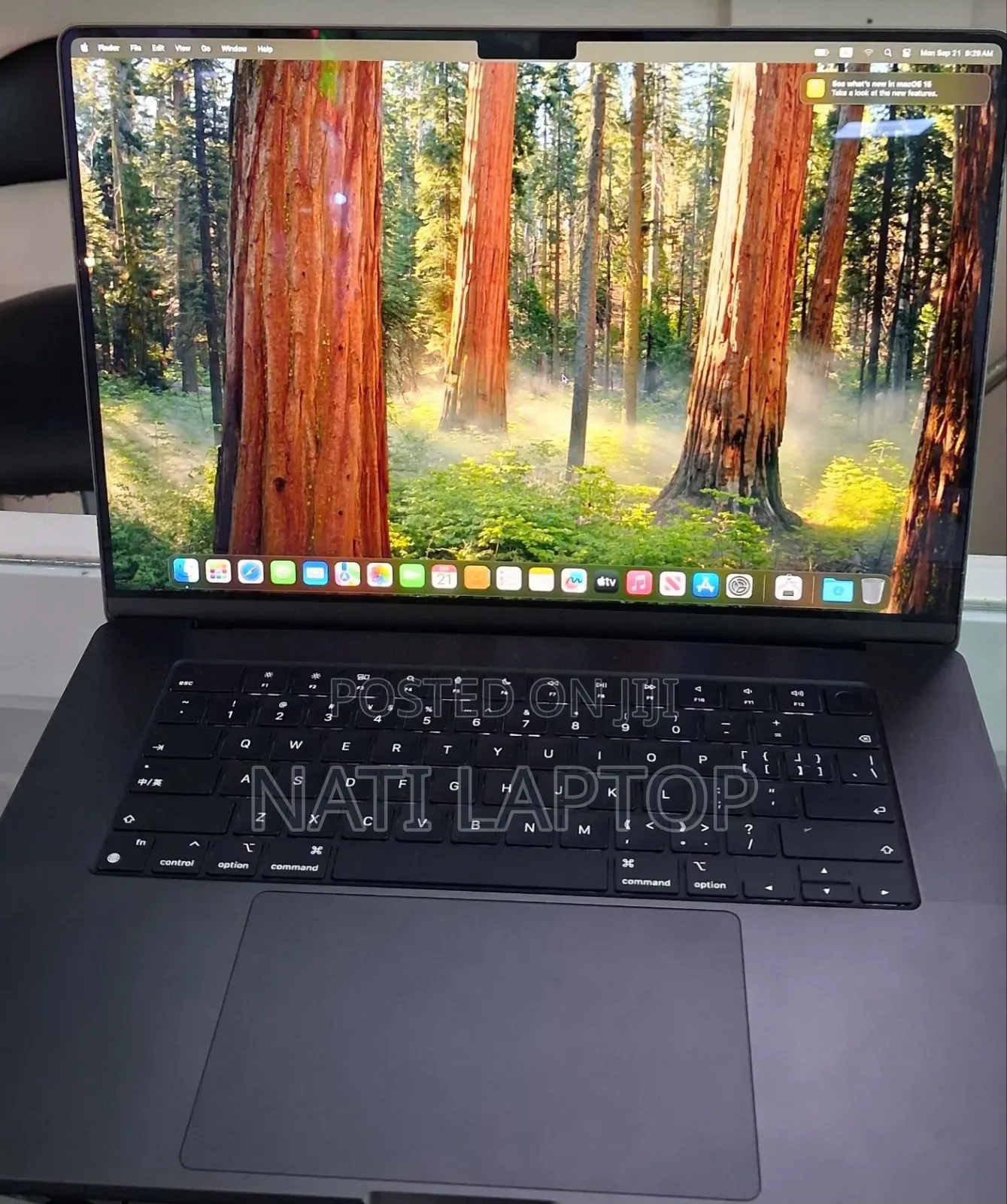 New Laptop Apple MacBook Pro 2024 M4 Max 48GB Apple M4 Max SSD 2T