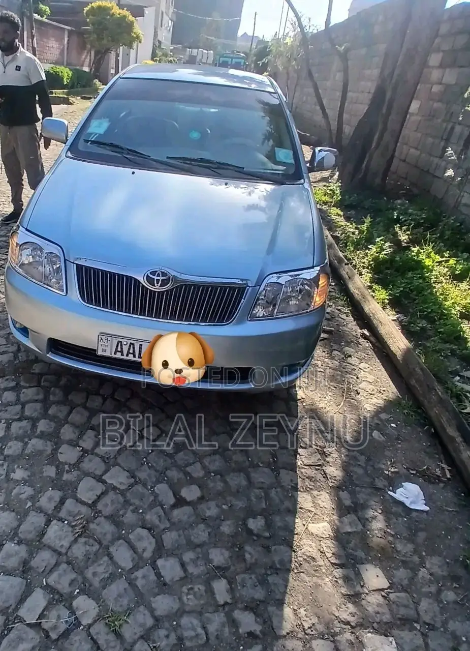 Toyota Corolla 2007 Gray