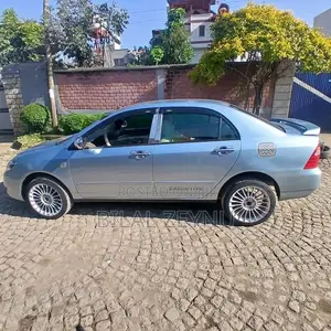 Toyota Corolla 2007 Gray