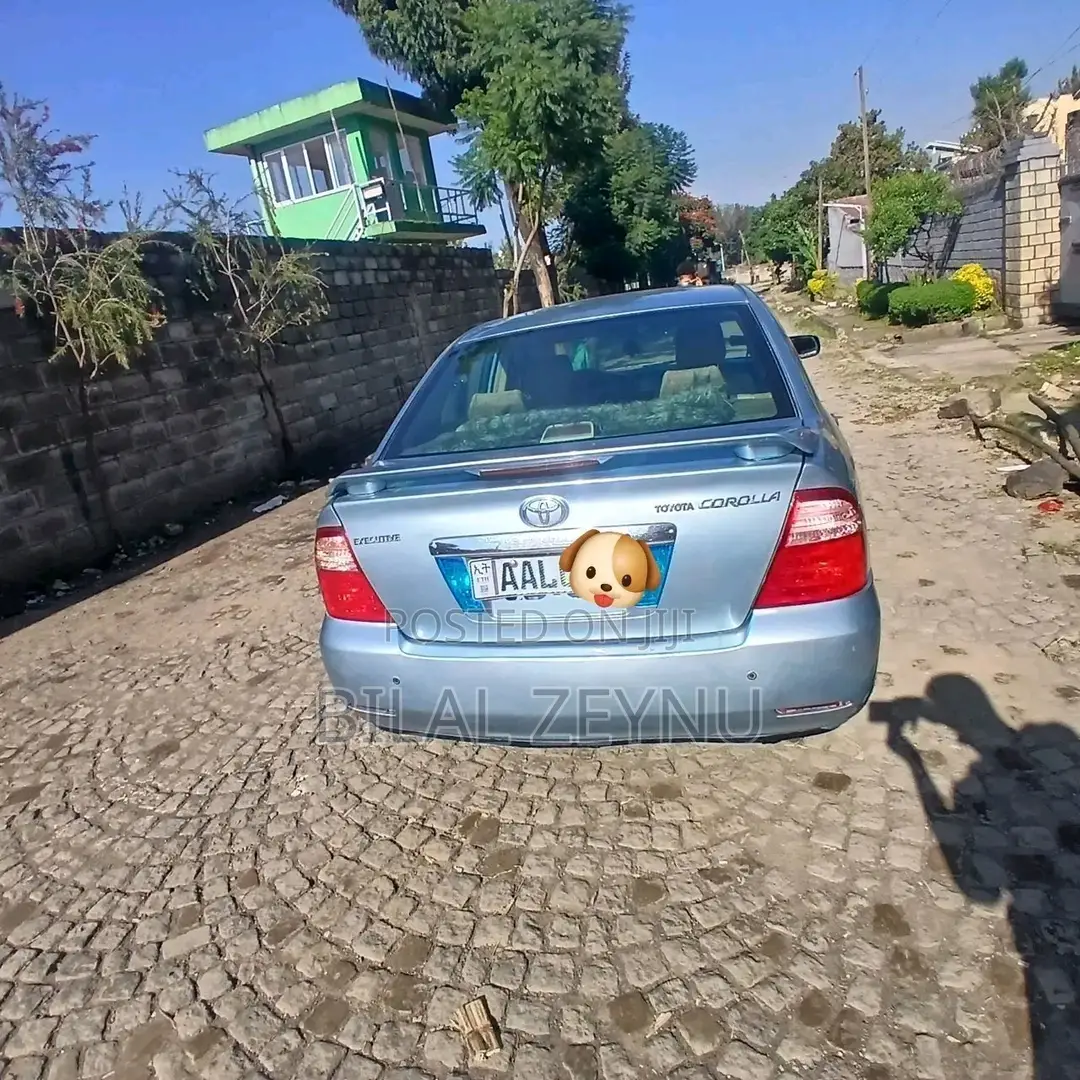Toyota Corolla 2007 Gray