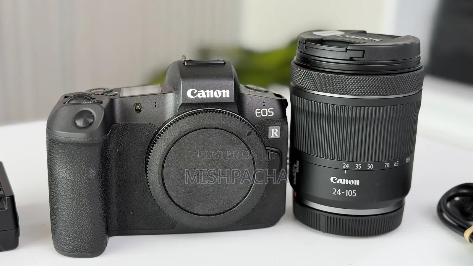 Canon R Camera With Silver Lance